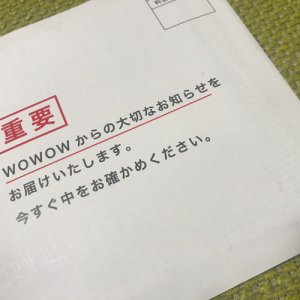 20190207182516.jpeg