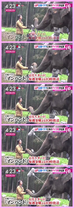 20190226071943.jpeg