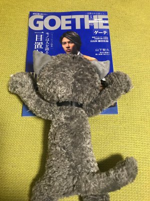 20190325182841.jpeg