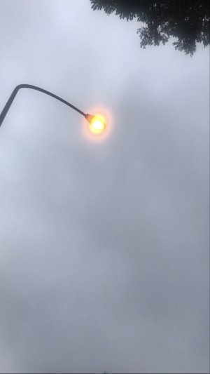 20210701011116.jpeg