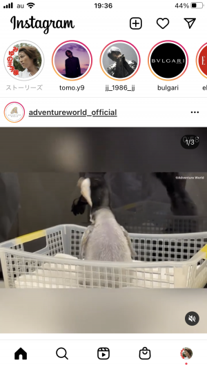 王子ストーリーズ更新♡♡♡♡♡♡♡