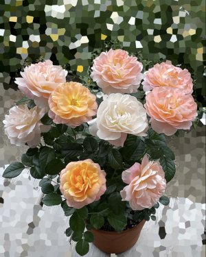 母の日🌹