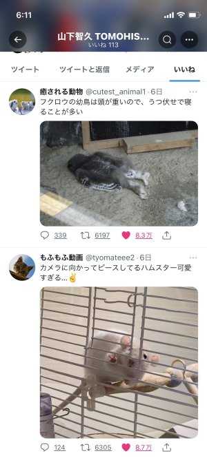 20221218062050.jpeg