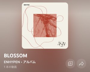 BLOSSOM🌸