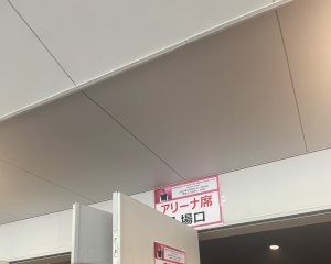 画像たち⤴︎