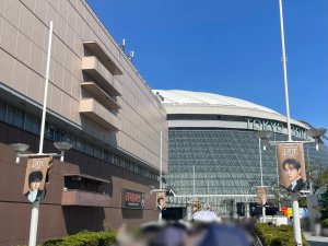 東京ドーム🥚