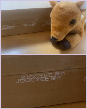 20250816203035.jpeg