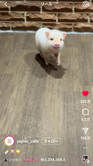 ウケるんだけど(*≧pq≦)くくくっ♡