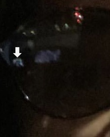 20220130145951.jpeg